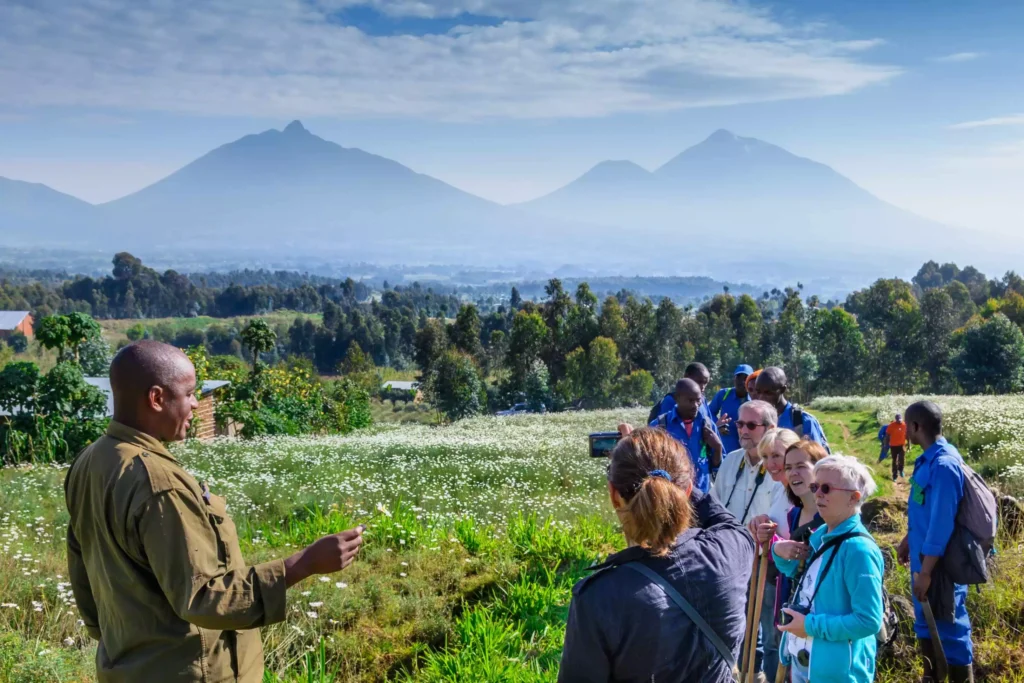 A stunning view of majestic volcanoes surrounded by lush greenery, taken from a scenic viewpoint